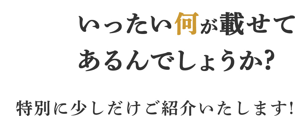 いったい何が載せてあるんでしょうか？